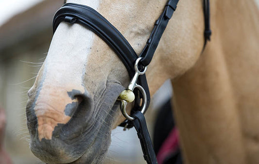 Does a Baucher / Hanging Cheek / Drop Cheek snaffle have poll pressure?
