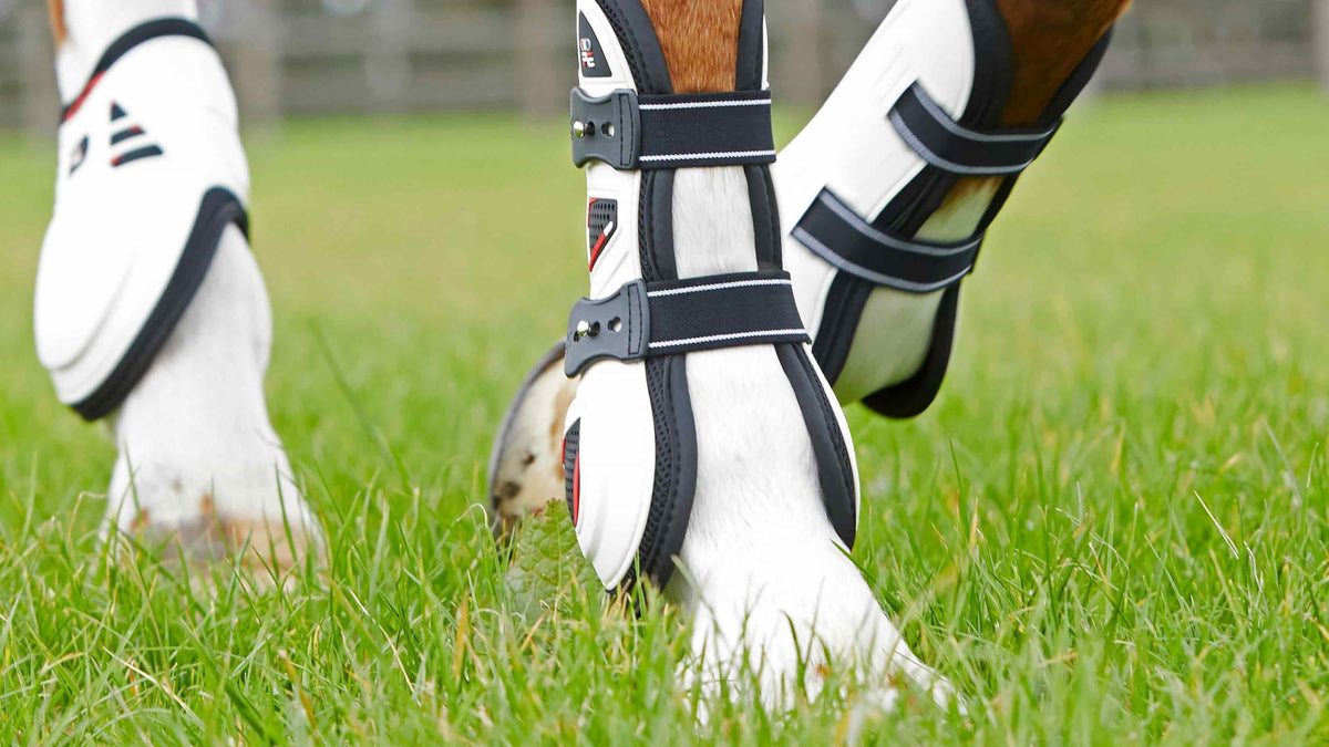Couteau Cerf Bottes De Protection Fetlock CWD Pour Chevaux - Doublure Veau Taille 3 - Neuves Sans étiquette Bottes Fetlock Equitation Couteau Cerf Bottes De Protection Fetlock CWD Pour Chevaux - Doublure Veau Taille 3 - Neuves Sans étiquette Bottes Fetlock Equitation