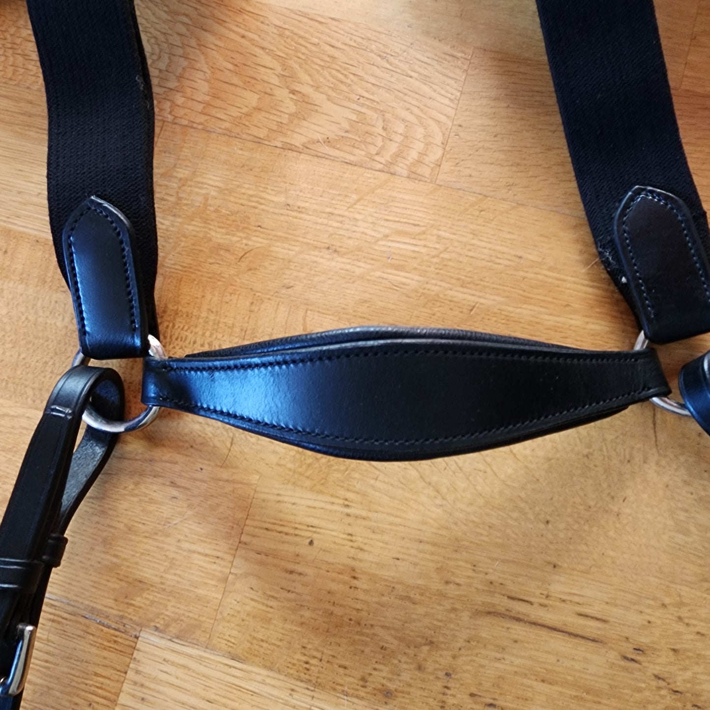 Black leather Five point breast plate and martingale. Full size