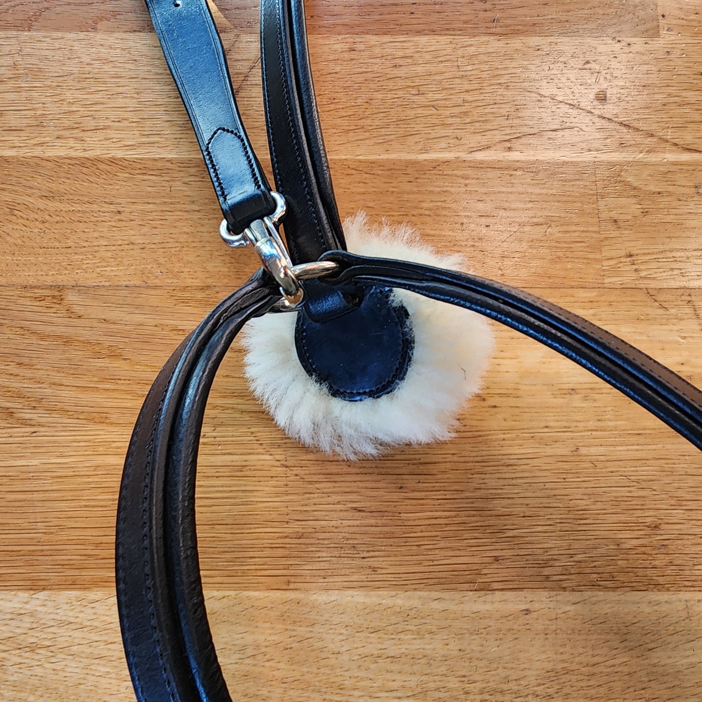 Black leather Five point breast plate and martingale. Full size
