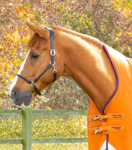 Premier Equine Buster Hardy 200g Half Neck Turnout Rug