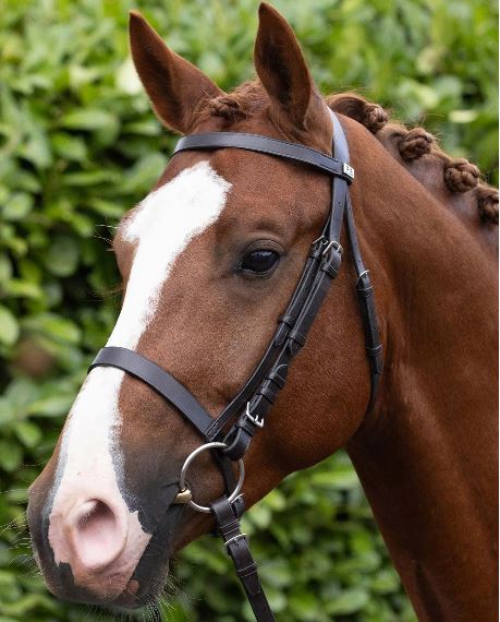 Premier Equine Exercise / Racing Bridle with Plain Cavesson Noseband