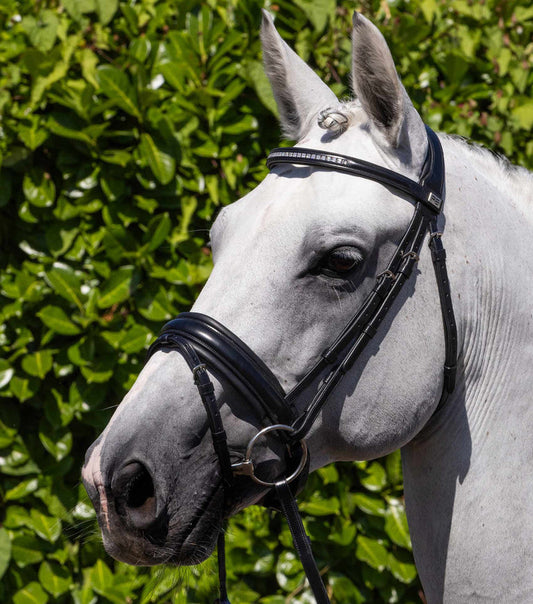 Premier Equine Castello Anatomical Bridle (head piece and browband  - X Full. Black. Brand new)