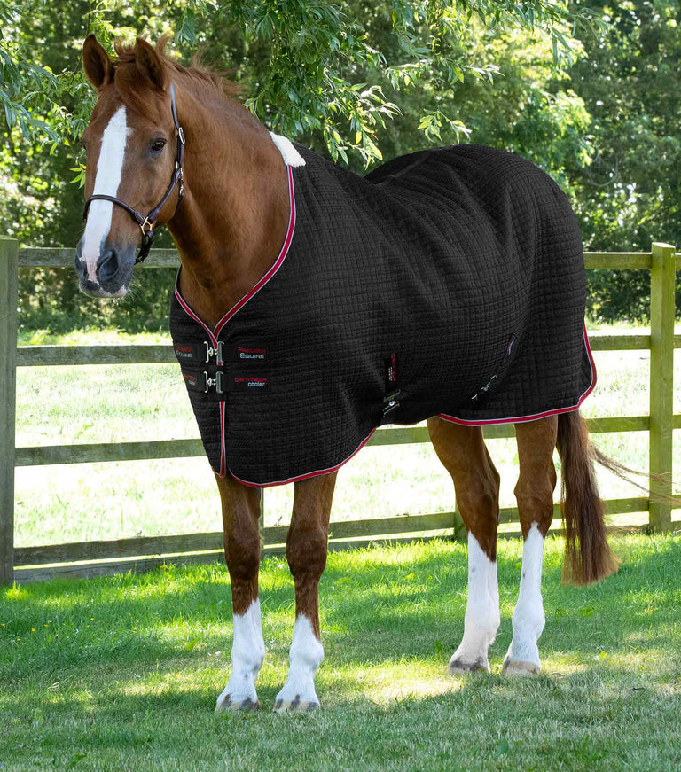 Premier Equine Dry-Tech Horse Cooler / Travel Rug