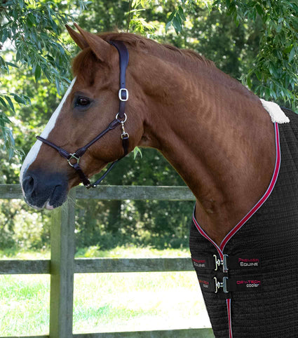 Premier Equine Dry-Tech Horse Cooler / Travel Rug