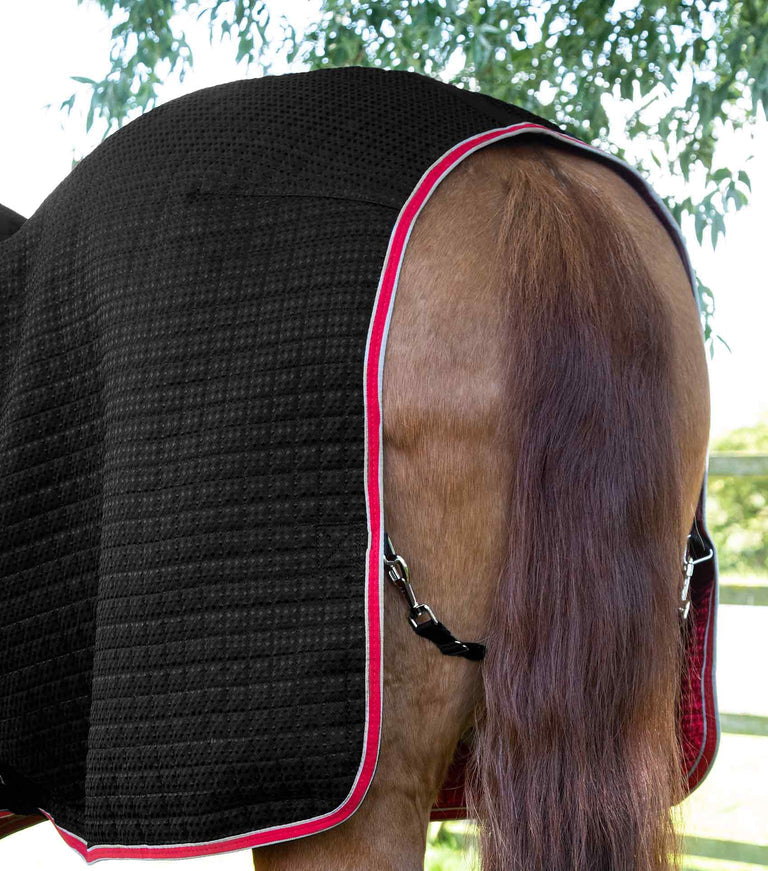 Premier Equine Dry-Tech Horse Cooler / Travel Rug