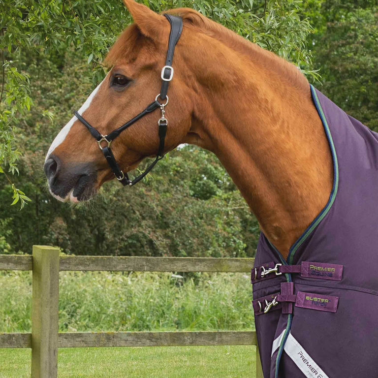 Premier Equine Buster Hardy 100g Half Neck Turnout Rug
