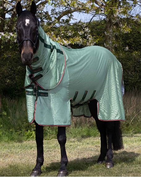 Premier Equine Bug Buster Fly Rug with Detachable Neck and Belly Flap