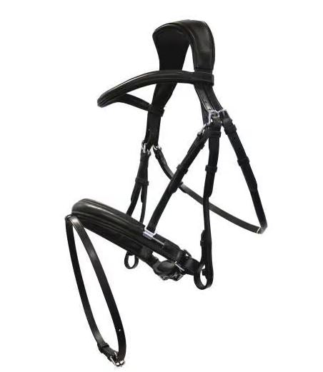 Acavallo Primavera Bridle