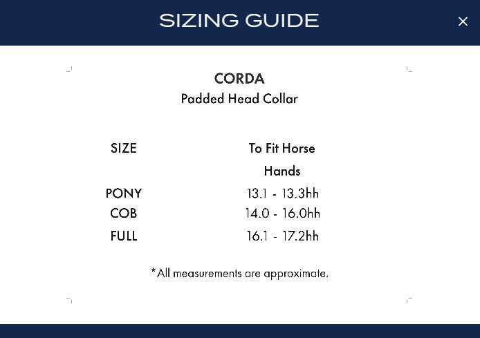 Premier Equine Corda Padded Halter / Head Collar with Lead Rope