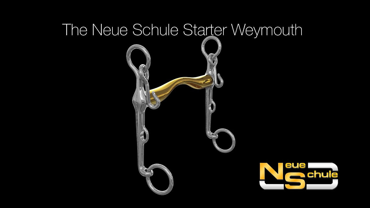 Neue Schule Starter Weymouth bit