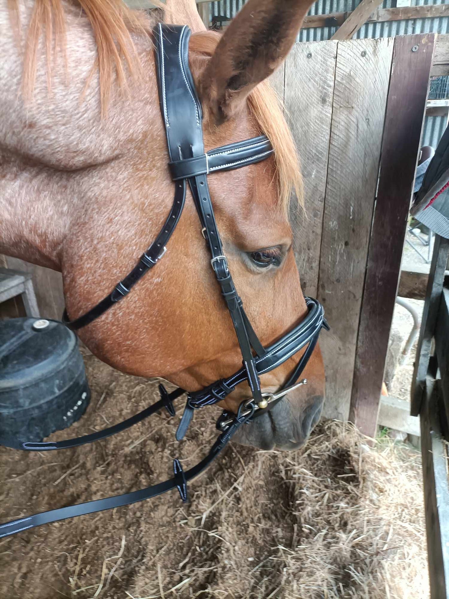 ETS Fancy Stitch Italian Leather Anatomical Bridle and reins