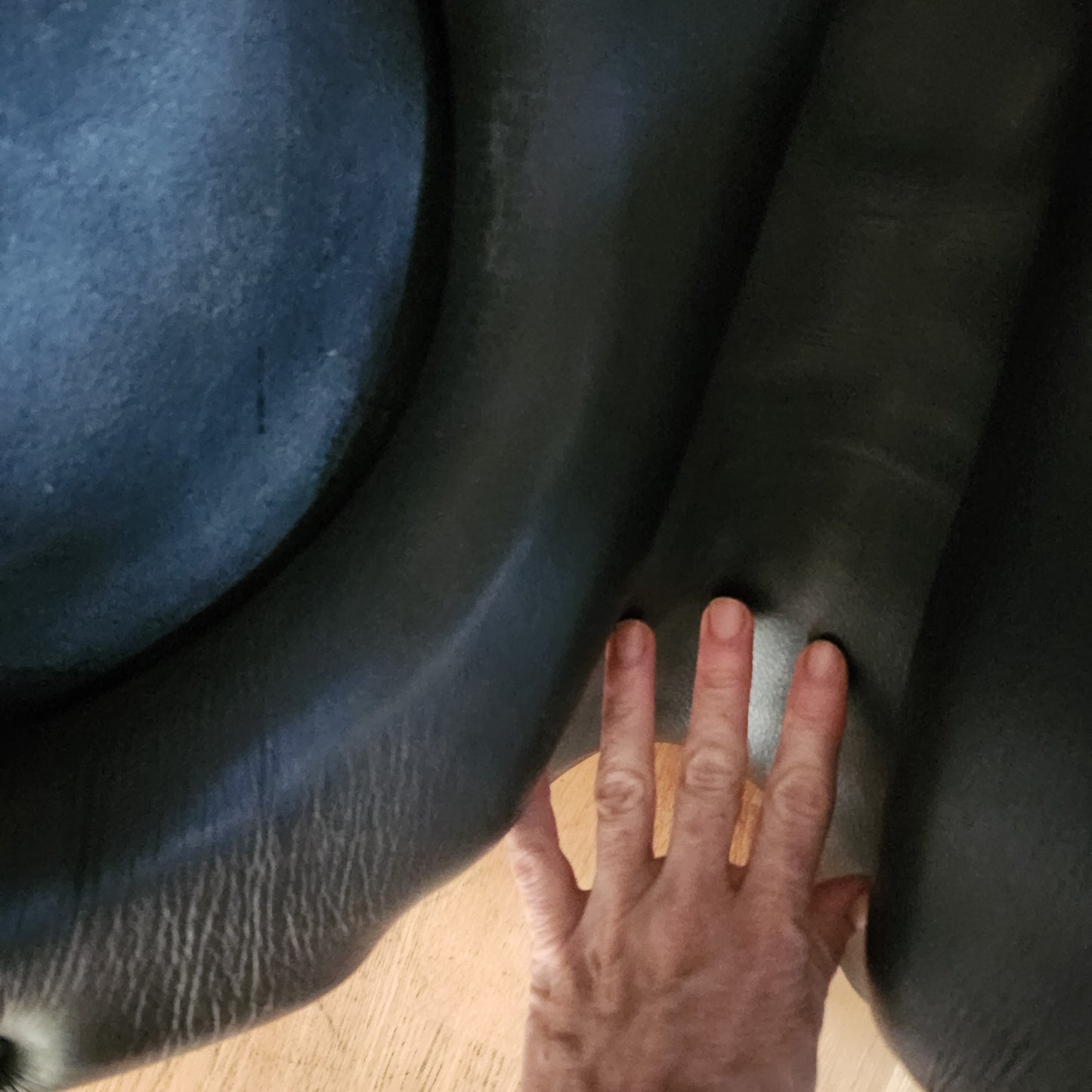 Trekker black leather treeless dressage saddle 17.5 / 18"