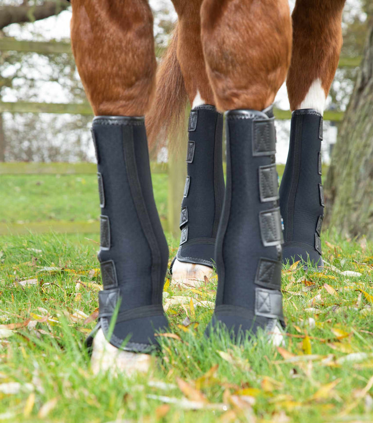 Premier Equine Therapy Magnetic Horse Boots Australia Premier