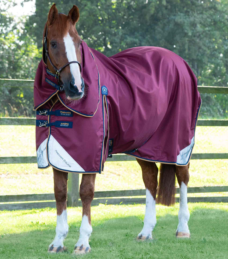 Premier Equine Akoni 0g Turnout Rug with Classic Detachable Neck Cover