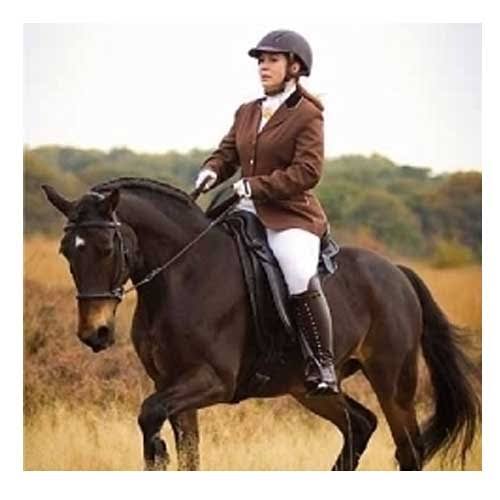 Barefoot treeless dressage saddle 17.5 / 18"