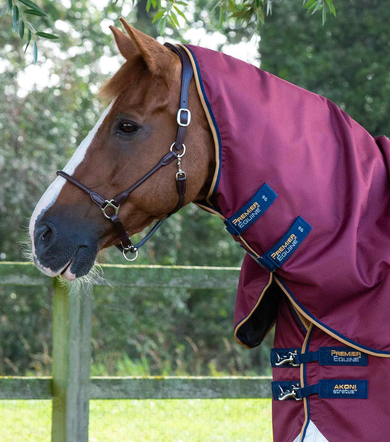 Premier Equine Akoni 0g Turnout Rug with Classic Detachable Neck Cover