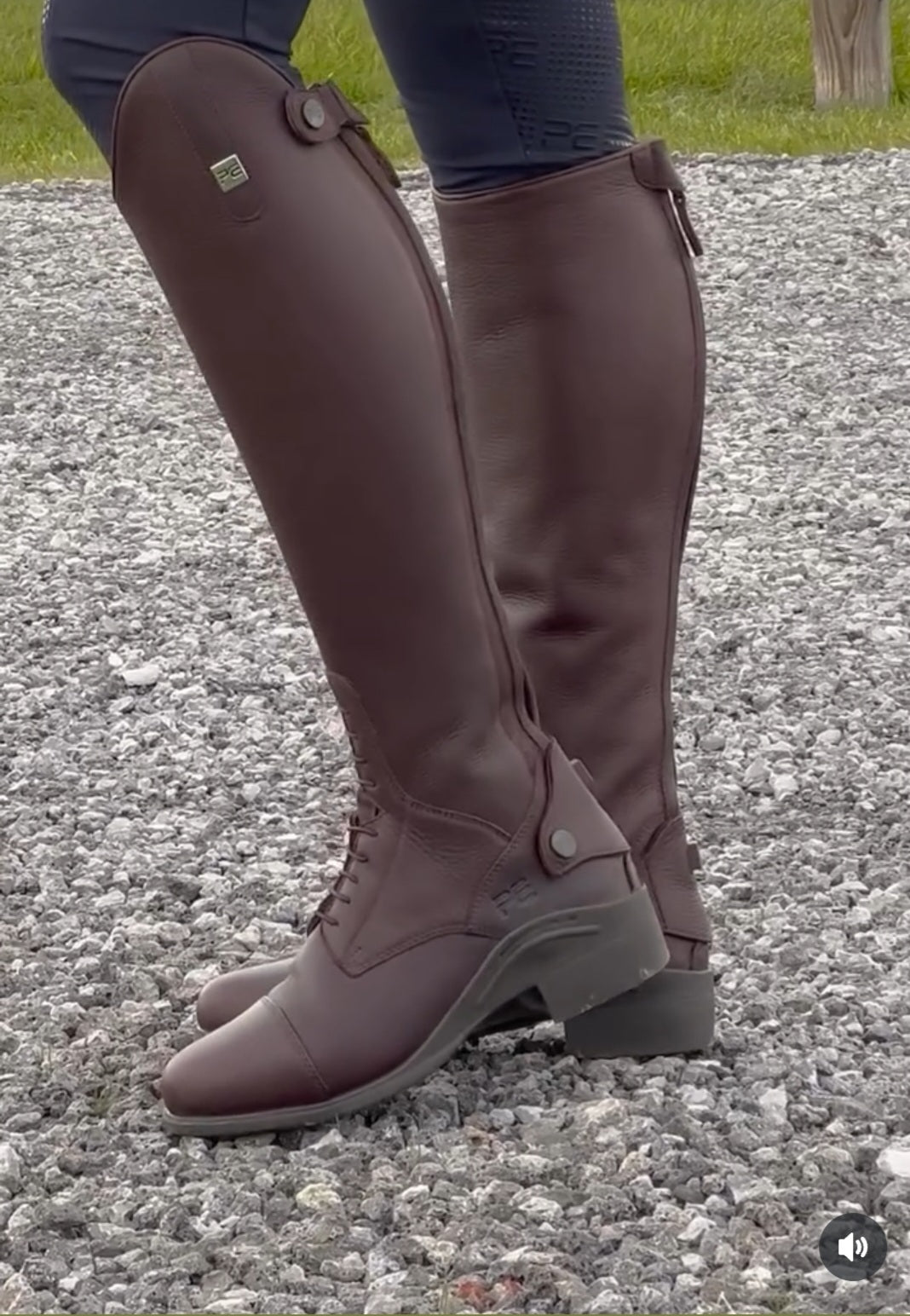 Premier Equine Vallardi Ladies Leather Field Tall Riding Boot - Brown