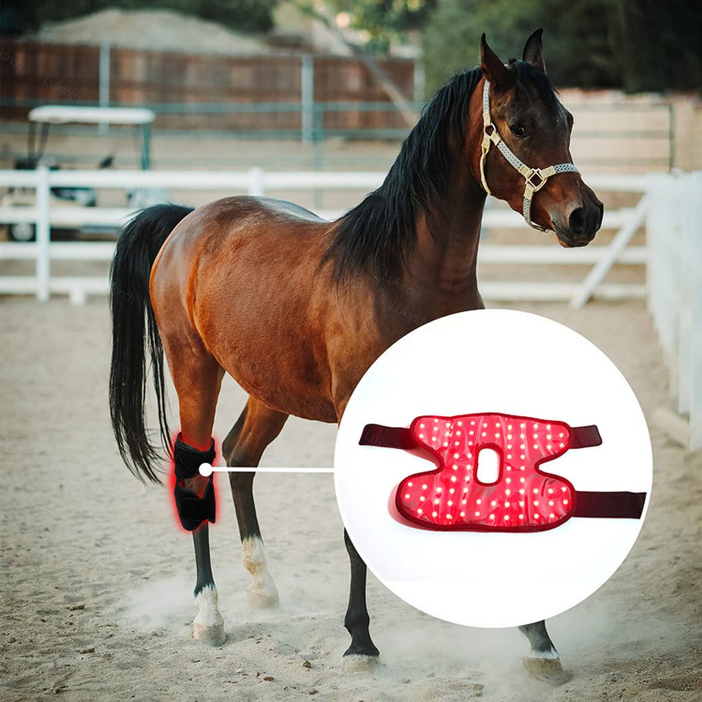 Equine Therapy Systems Infrared Hock Wrap