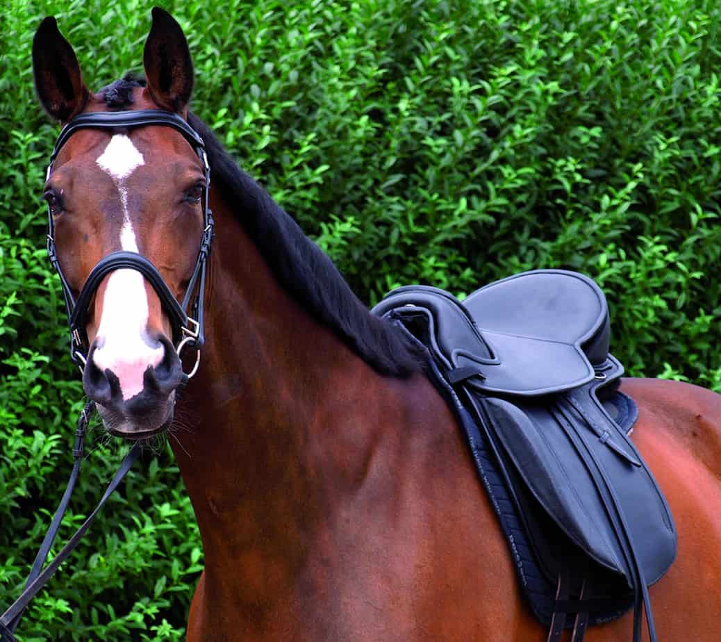 Barefoot treeless dressage saddle 17.5 / 18"