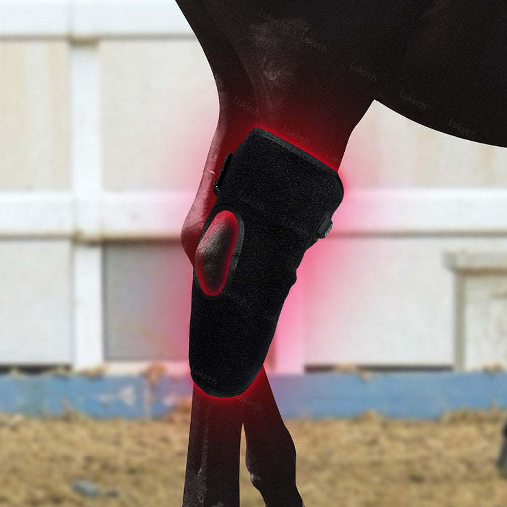 Equine Therapy Systems Infrared Hock Wrap