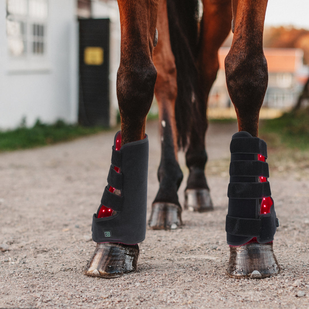 Equine Therapy Systems Infrared Leg / Tendon Wrap