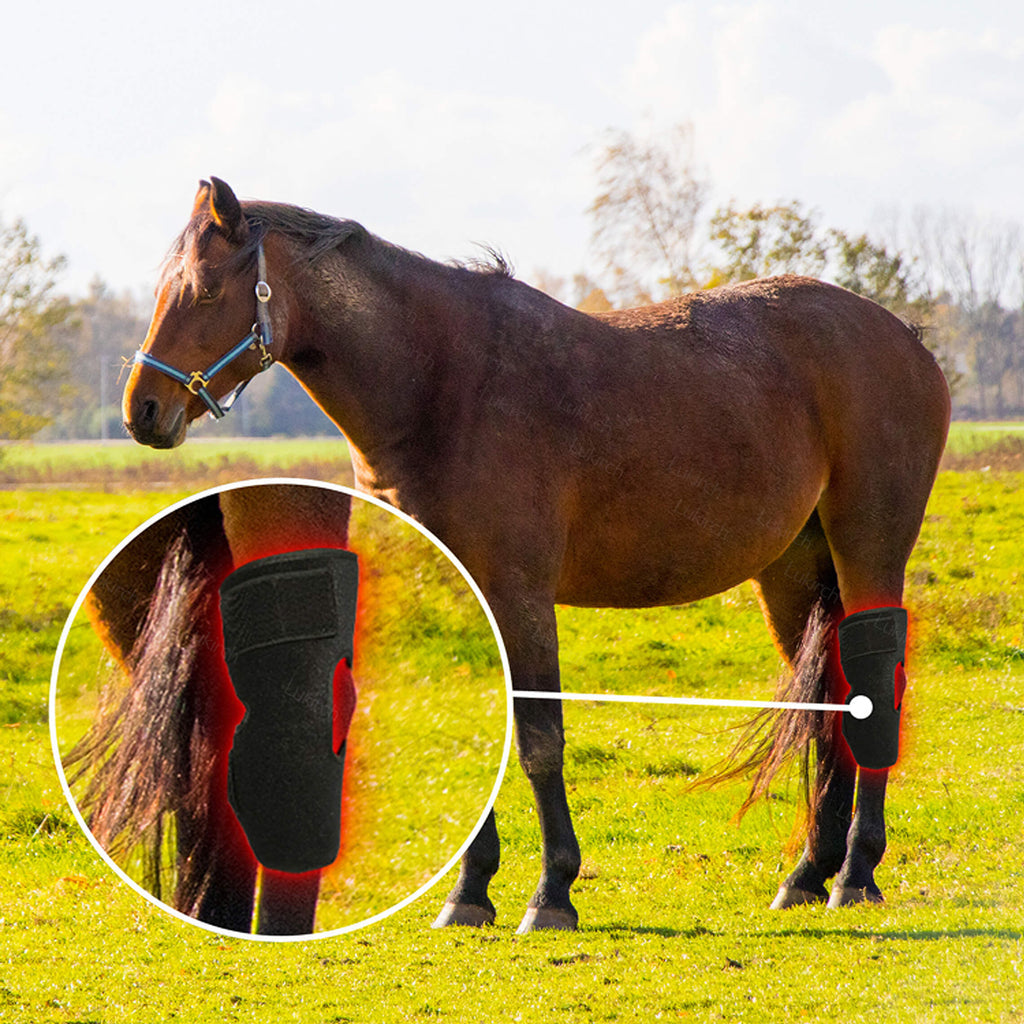 Equine Therapy Systems Infrared Hock Wrap