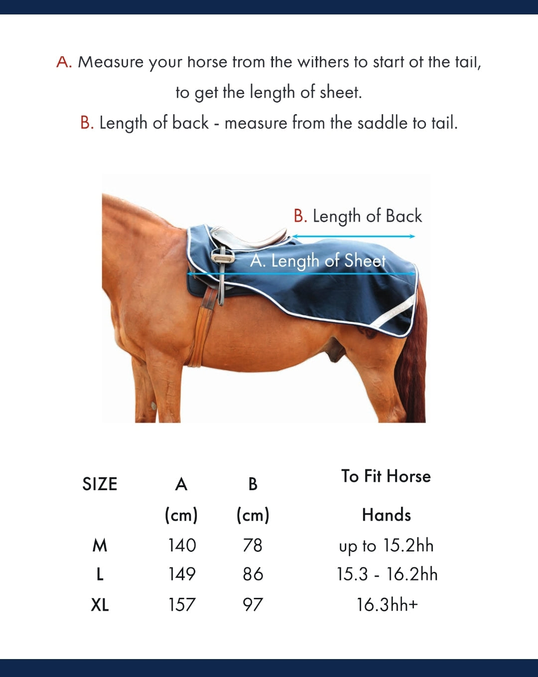 Premier Equine Horse Exercise Sheet