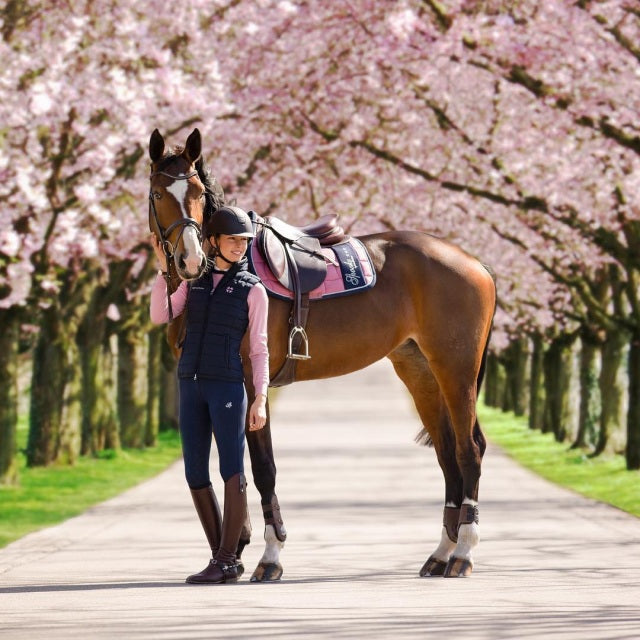 Best European Equestrian horse riding brands