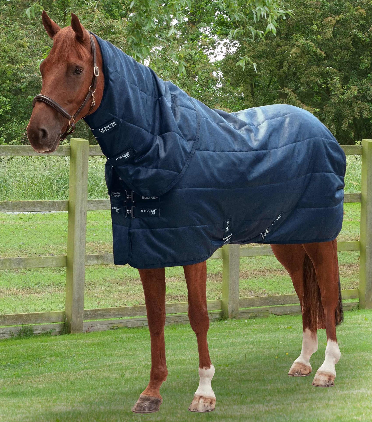 Description:Stratus 100g Stable Rug with Neck Cover_Colour:Navy_Position:1