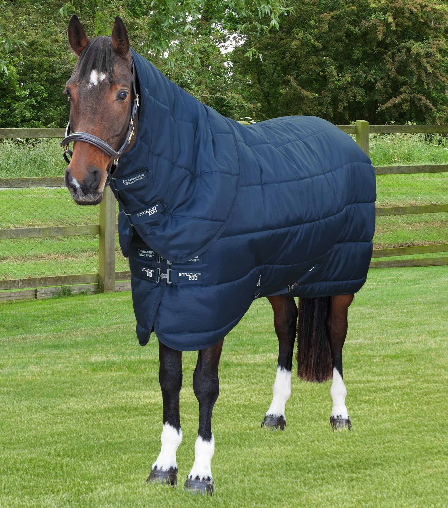 Description:Stratus 200g Stable Rug with Neck Cover_Colour:Navy_Position:1