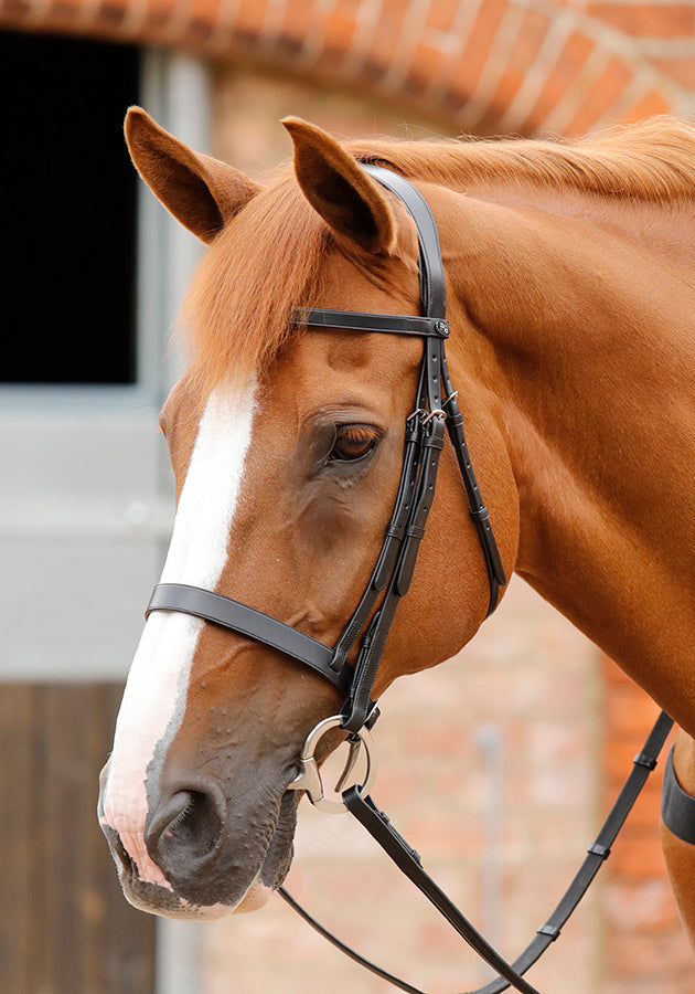Premier Equine Salvatore Rubber & Leather Grip Reins