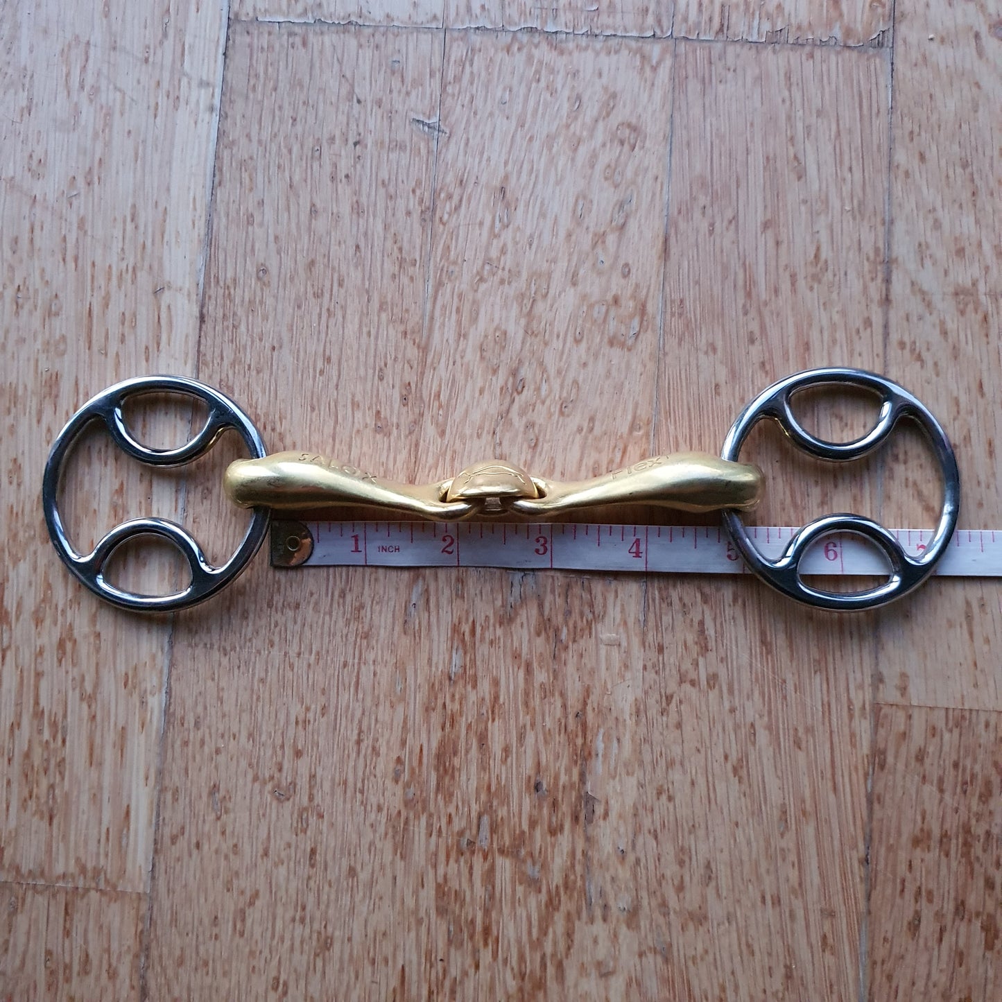 Neue Schule Turtle Tactio Beval bit