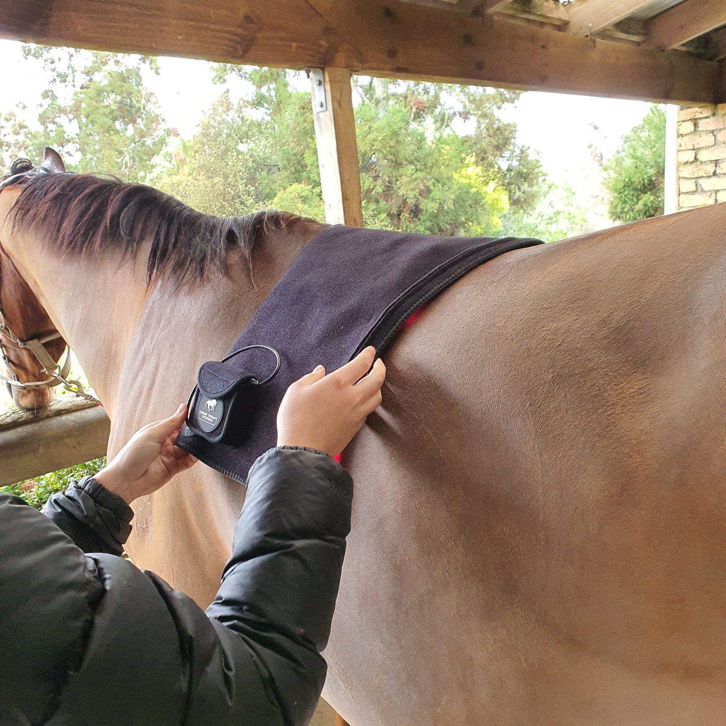 Equine Therapy Systems Infrared Leg / Back / Neck Wrap (medium)