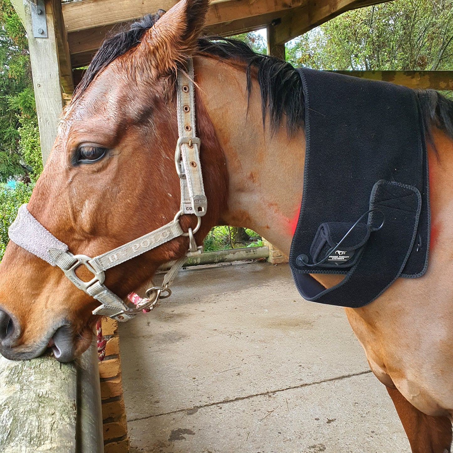 Equine Therapy Systems Infrared Leg / Back / Neck Wrap (medium)