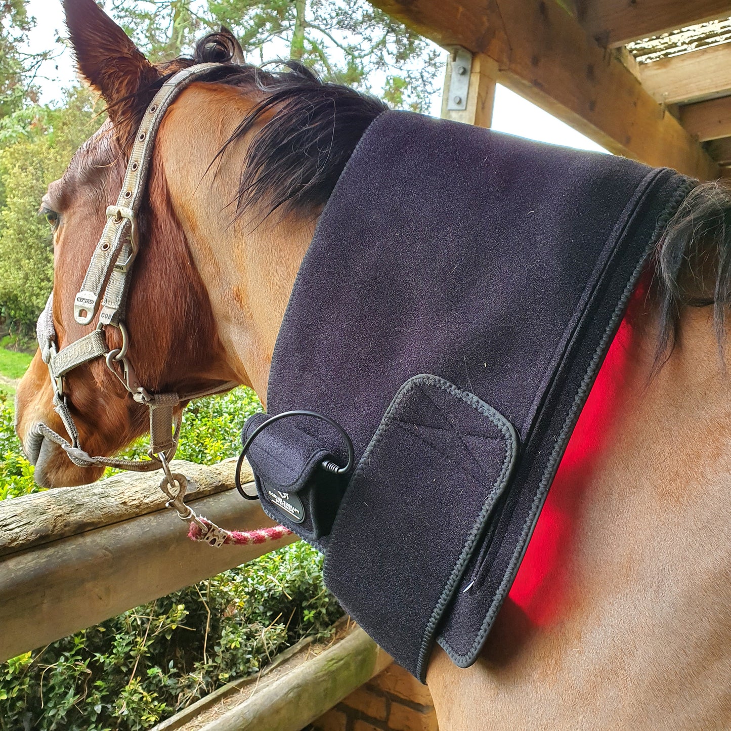 Equine Therapy Systems Infrared Leg / Back / Neck Wrap (medium)