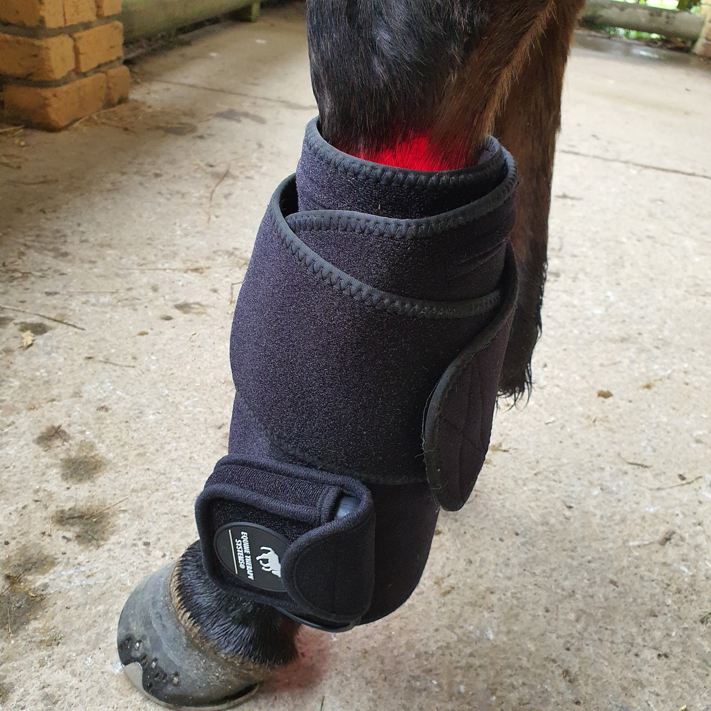 Equine Therapy Systems Infrared Leg / Back / Neck Wrap (medium)