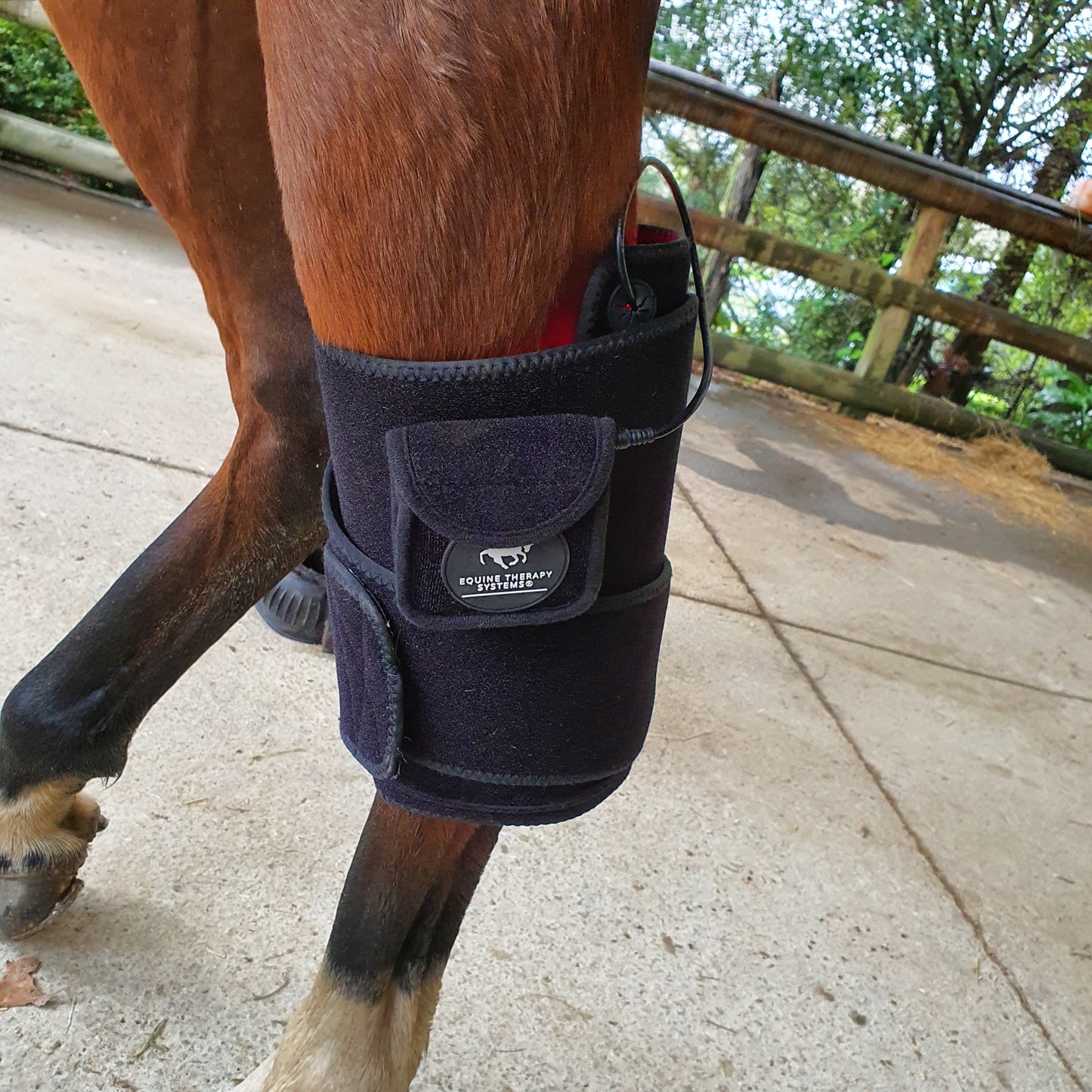 Equine Therapy Systems Infrared Leg / Back / Neck Wrap (medium)