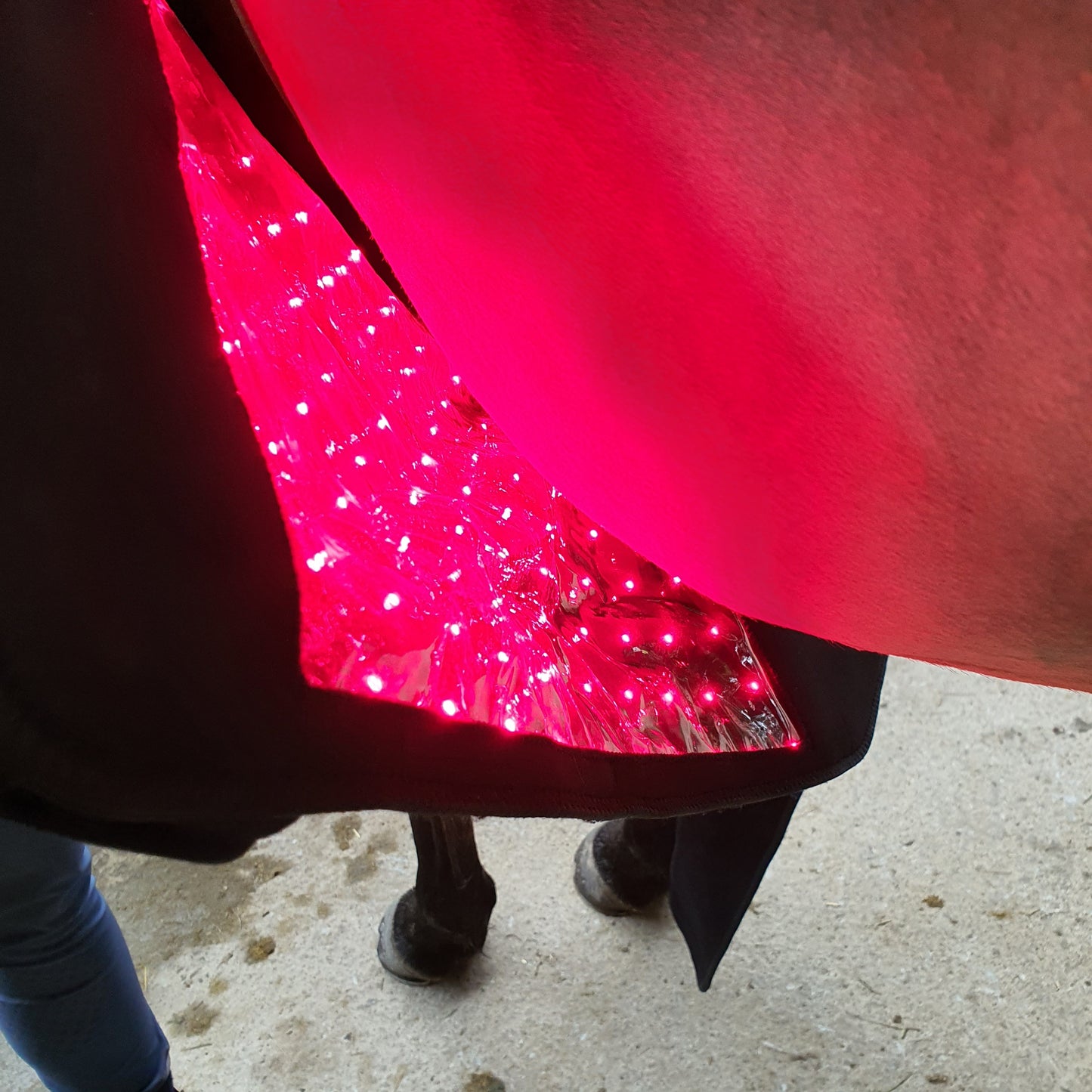 Equine Therapy Systems Infrared Leg / Back / Neck Wrap (medium)