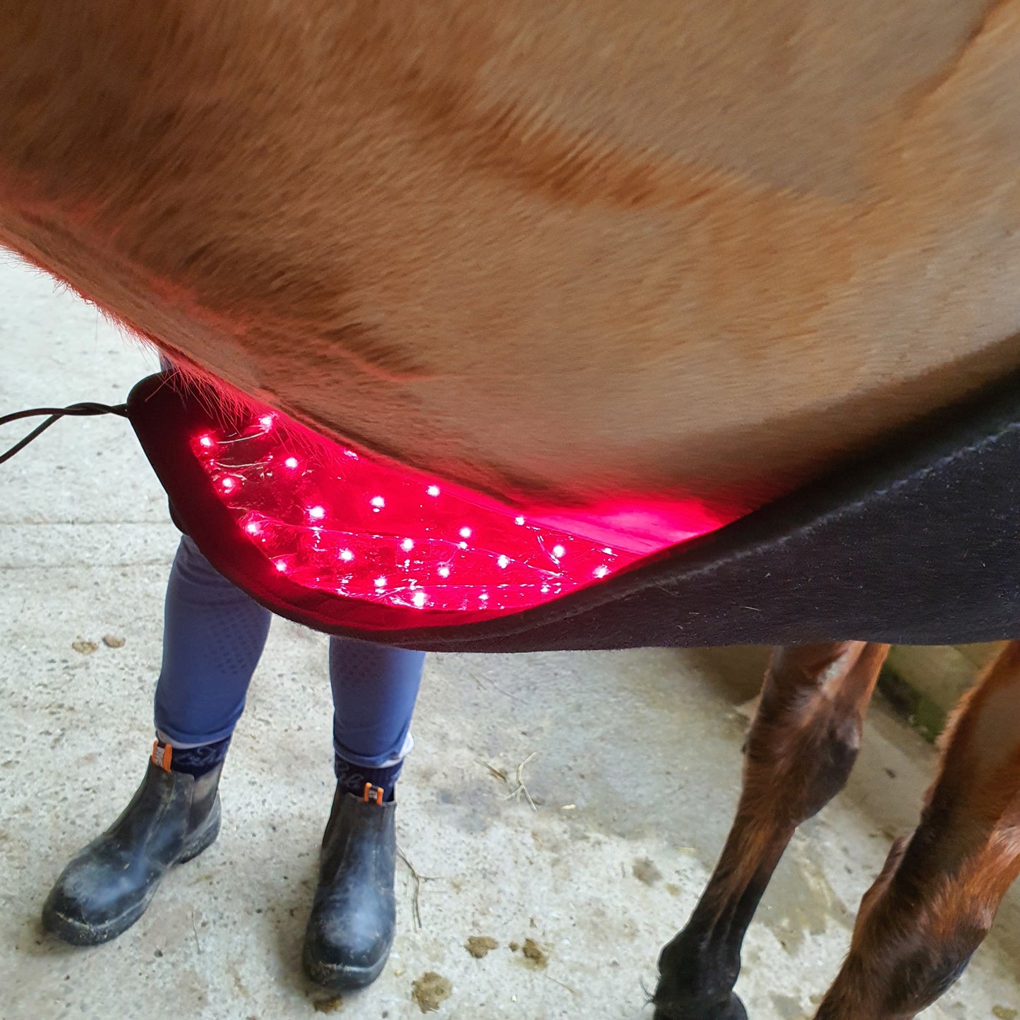 Equine Therapy Systems Infrared Leg / Back / Neck Wrap (medium)