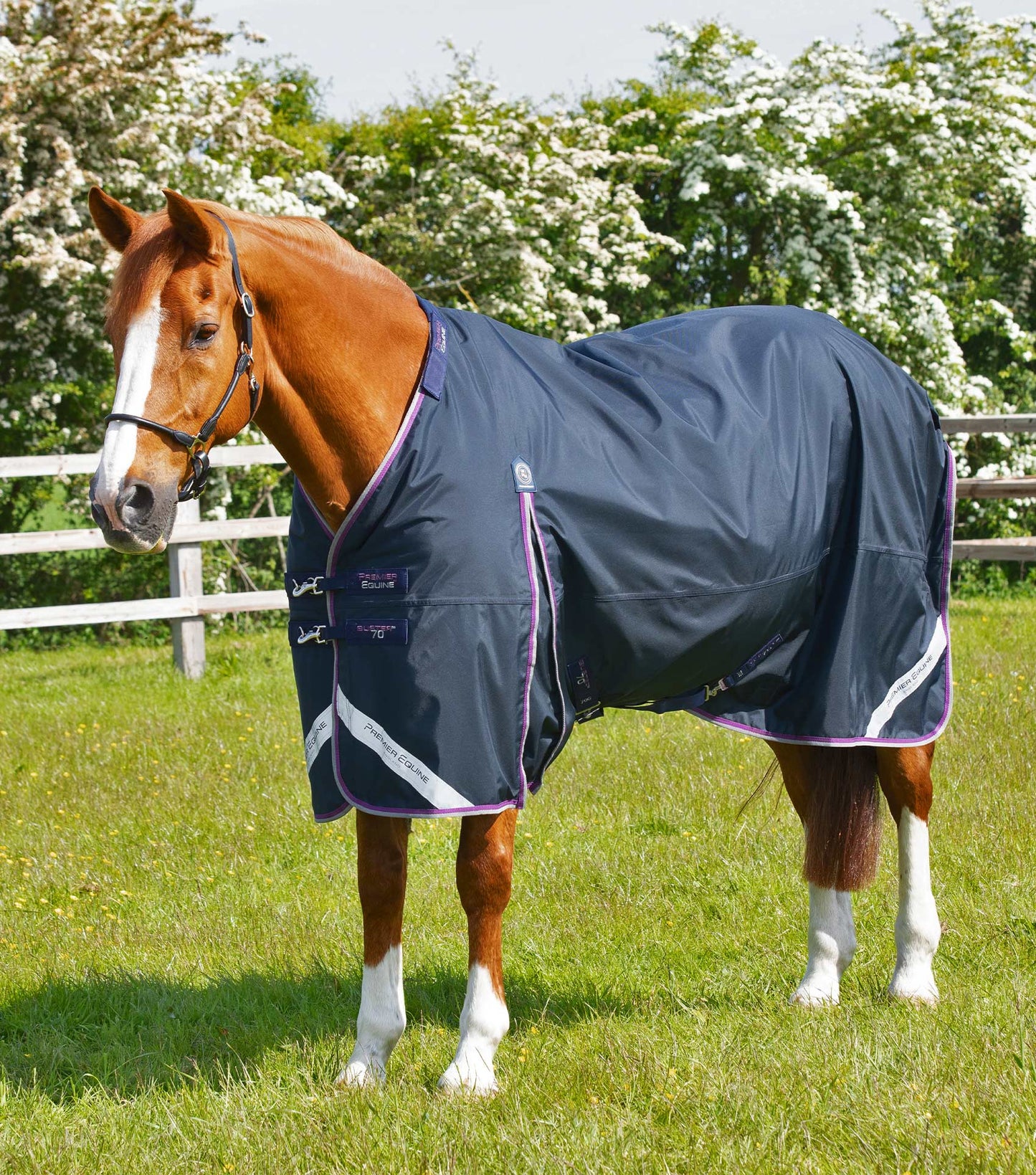 Premier Equine Buster 70g Turnout Rug with Classic Neck Cover