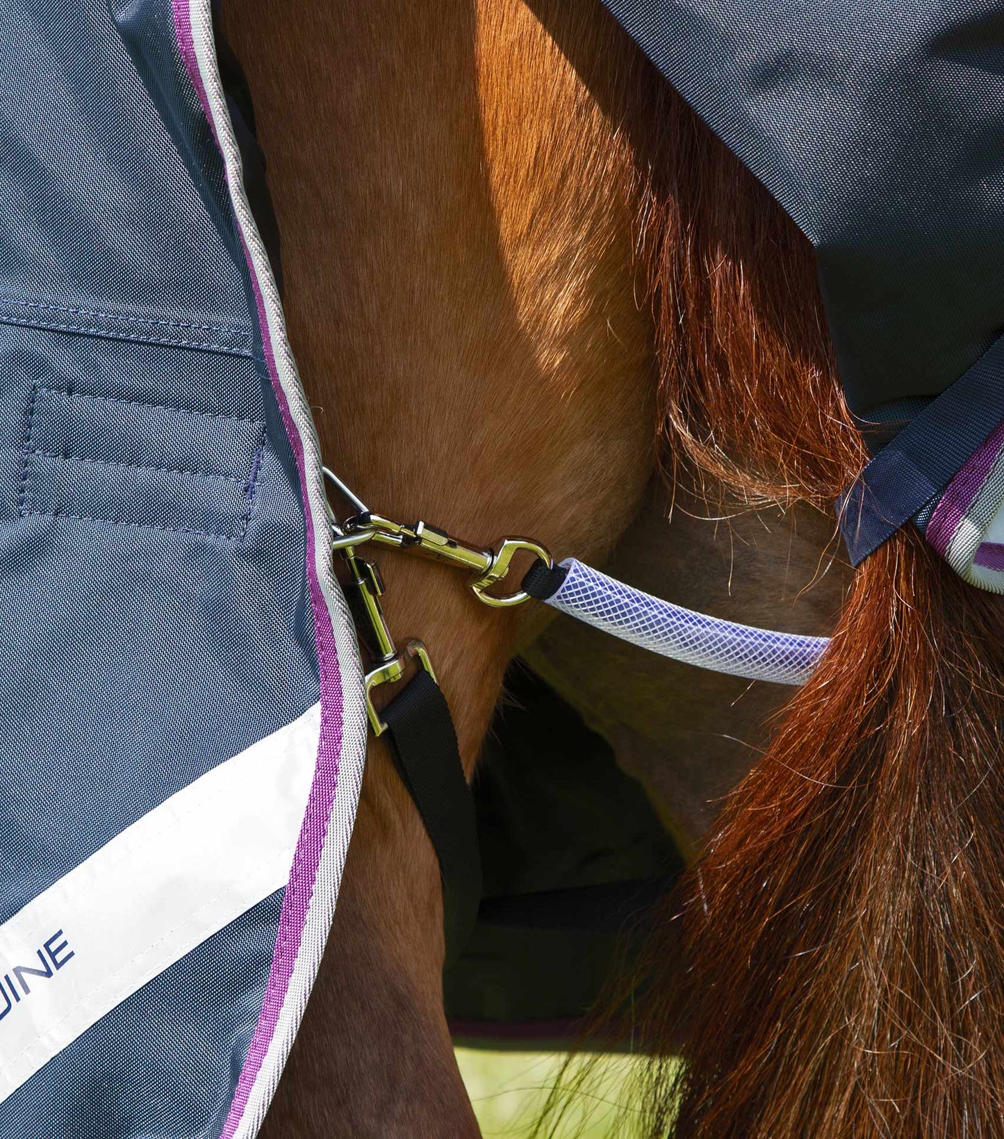 Premier Equine Buster 70g Turnout Rug with Classic Neck Cover