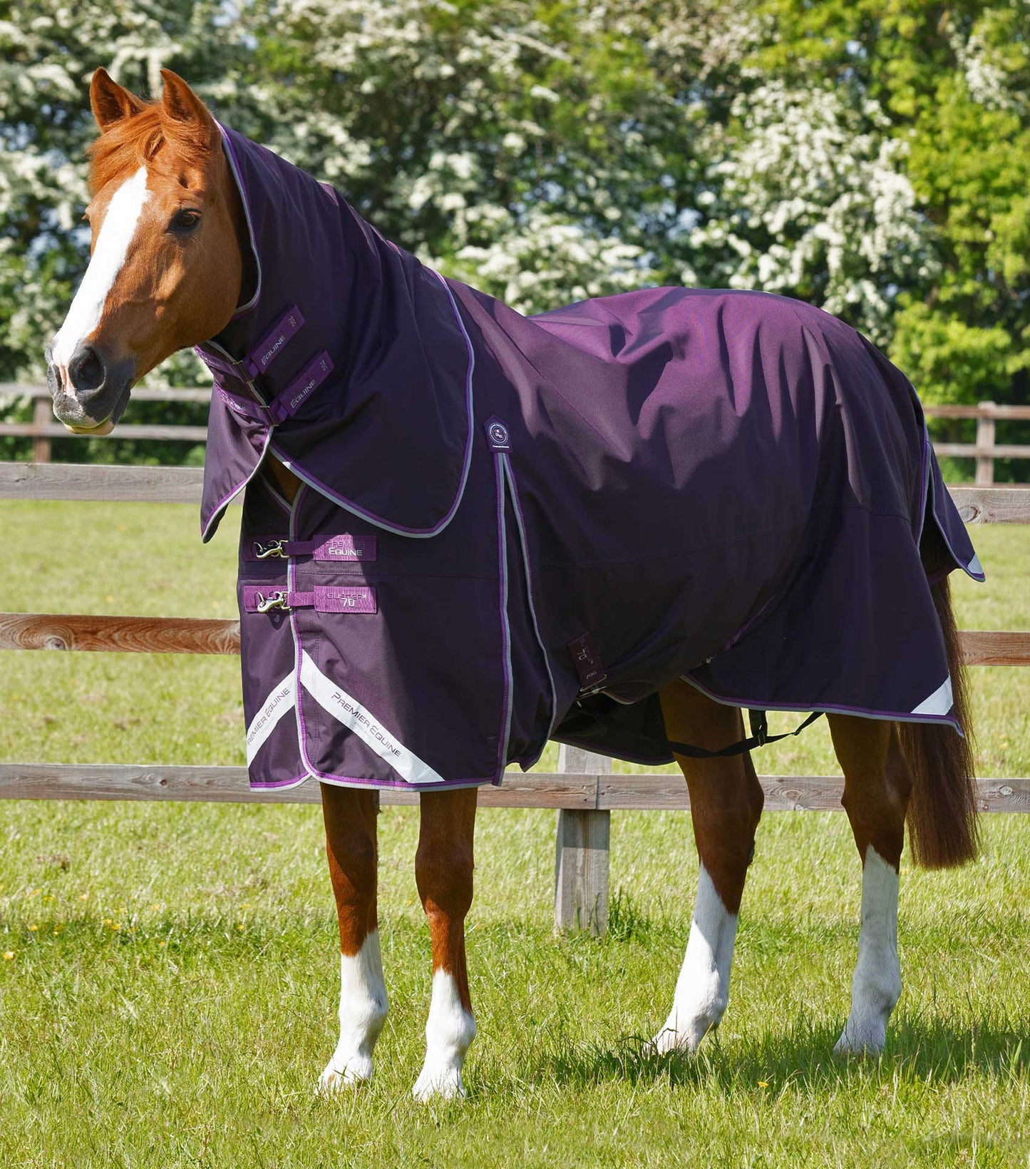 Premier Equine Buster 70g Turnout Rug with Classic Neck Cover