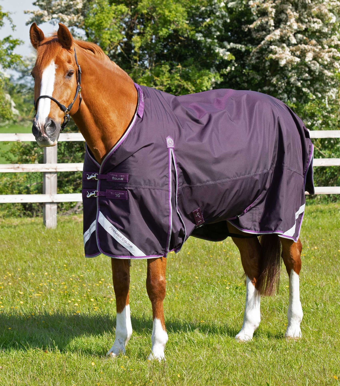 Premier Equine Buster 70g Turnout Rug with Classic Neck Cover