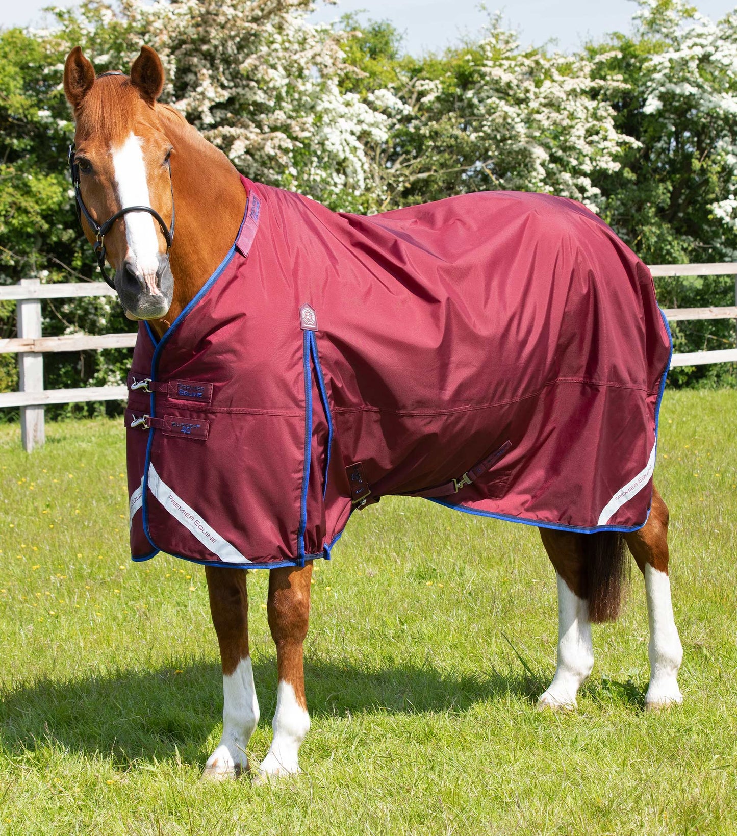 Premier Equine Buster 40g Turnout Rug with Classic Neck Cover
