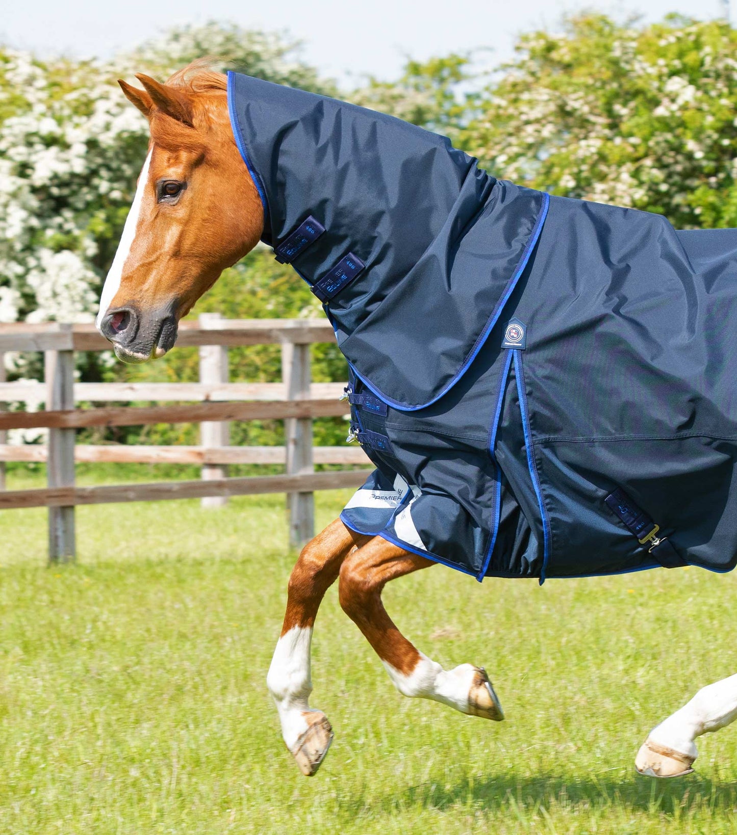 Premier Equine Buster 40g Turnout Rug with Classic Neck Cover