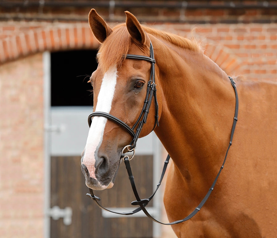 Premier Equine Altare Web Reins