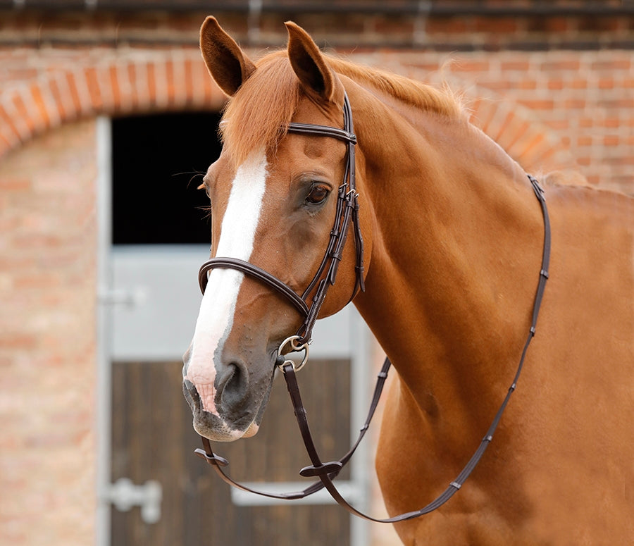 Premier Equine Altare Web Reins