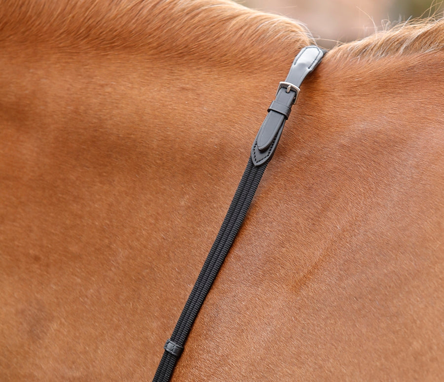 Premier Equine Altare Web Reins