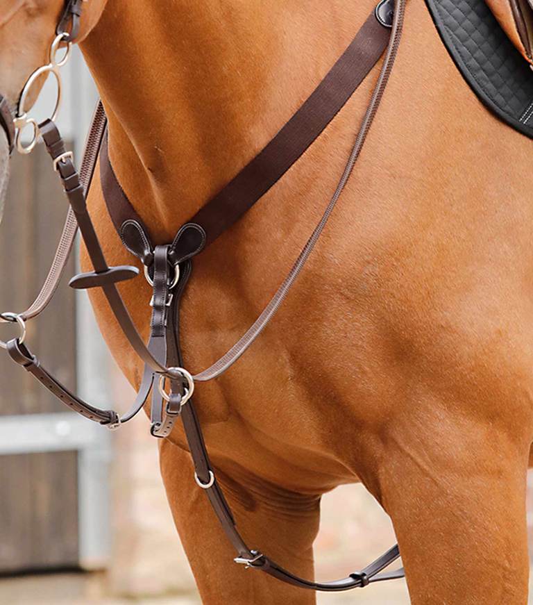 Premier Equine Baressa Elastic Jumping Breastplate